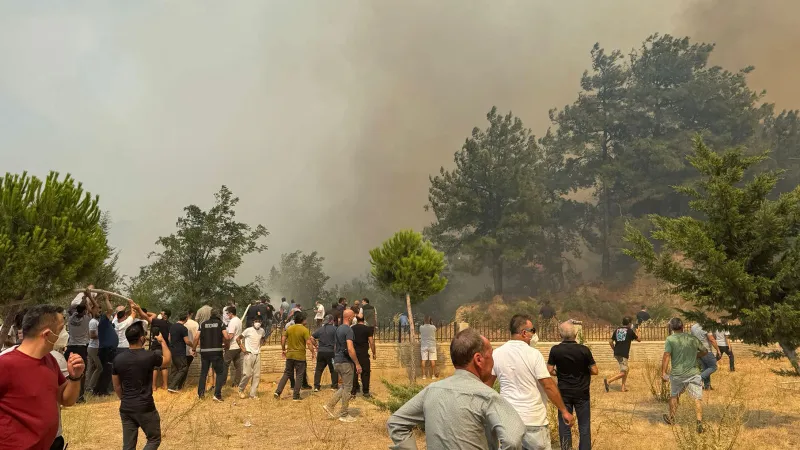 Çanakkale'deki orman yangını kontrol altında!