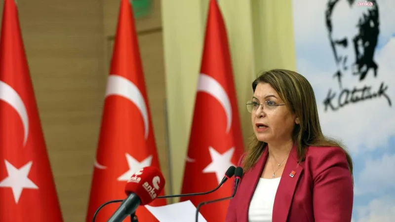 Gülizar Biçer Karaca: AKP rejimi artık yerli-yabancı her sermaye talebinin emir eri haline geldi.