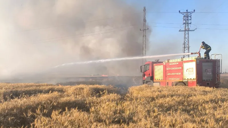 Mardin'de 155 dönüm ekili buğday yandı