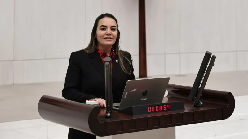 Ayyüce Türkeş'e babasının mezarında saldırı: 'Korumam ve şoförümü yumrukladılar'