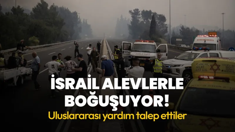 İsrail alevlerle boğuşuyor! Uluslararası yardım talep ettiler