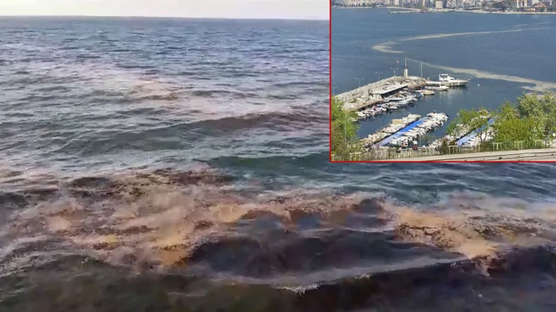 Mudanya sahilinde tedirgin eden görüntü