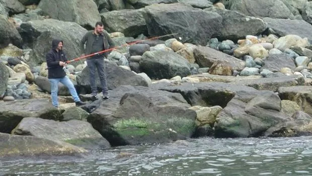 Rize'de denize 2 ton levrek dağıldı... Haberi duyanlar sahile koştu