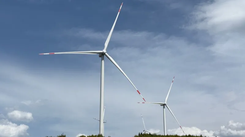 Sakarya'daki Rüzgar Enerji Santrali Cumhurbaşkanı Erdoğan'ın talimatıyla faaliyete geçti