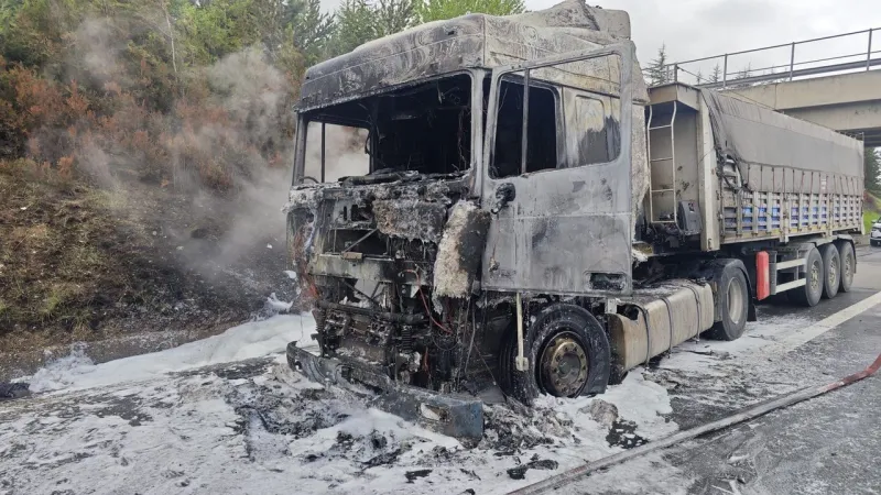 Seyir Halindeki Tırın Lastiği Patladı, Alevler Aracı Yuttu