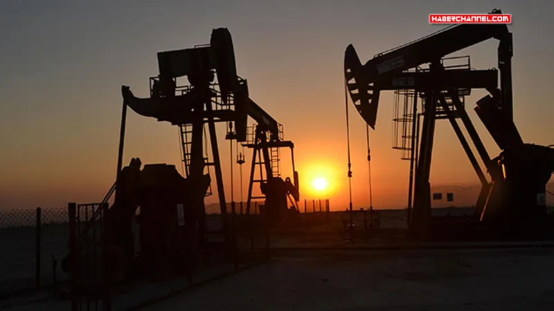 Suudi Arabistan'da 14 yeni petrol ve doğal gaz sahası bulundu...