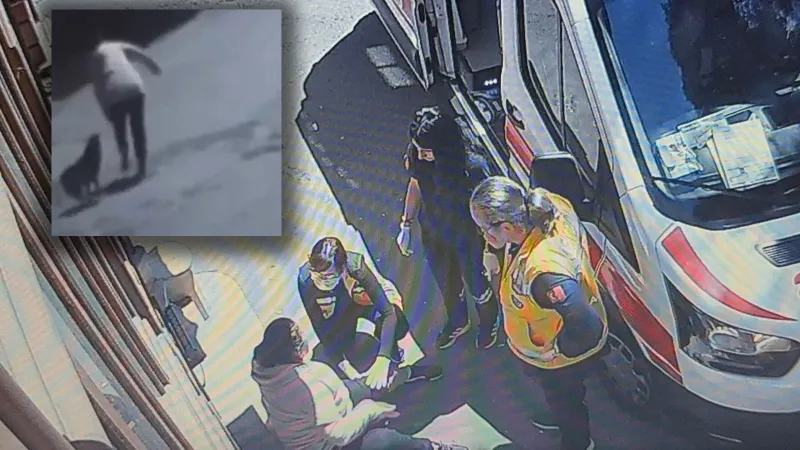 Tekirdağ'da sokak köpeğinin saldırısına uğrayan kadın yaralandı