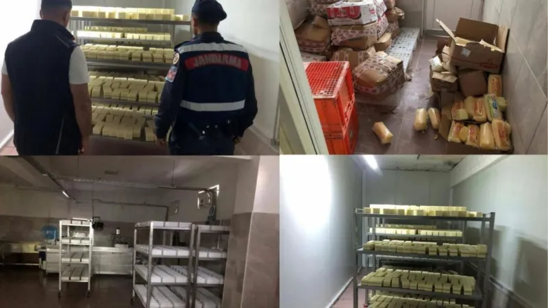 Sakarya’da 1,5 milyonluk sahte kaşar peyniri operasyonu