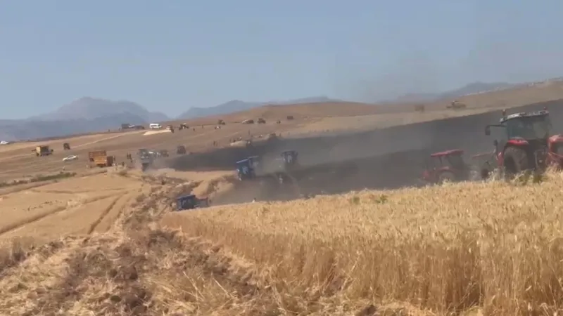Siirt'te Korkunç Yangın! 350 Dönüm Buğday Tarlası Kül Oldu!