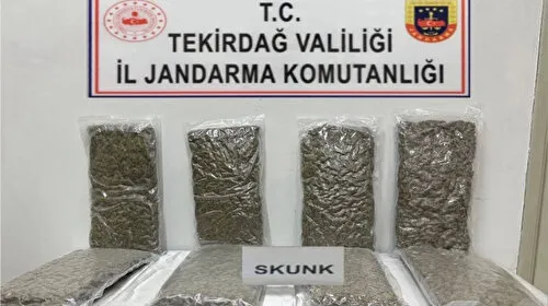 Tekirdağ'da otoyol gişelerinde 12 kilogram skunk ele geçirildi